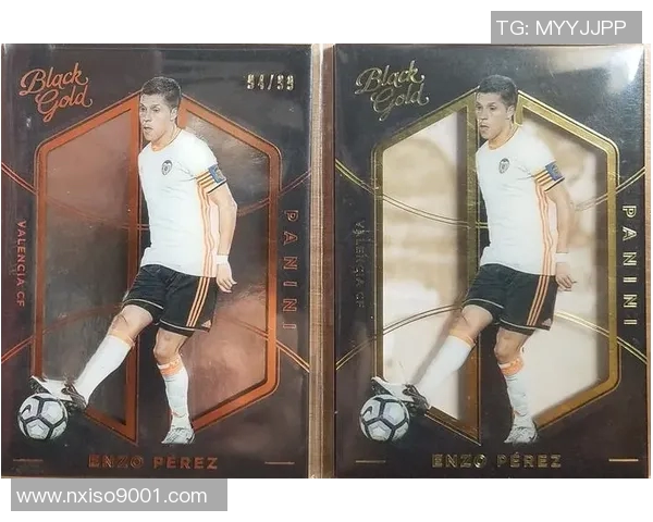 黑金足球球星卡收藏价值与未来发展趋势深度解析